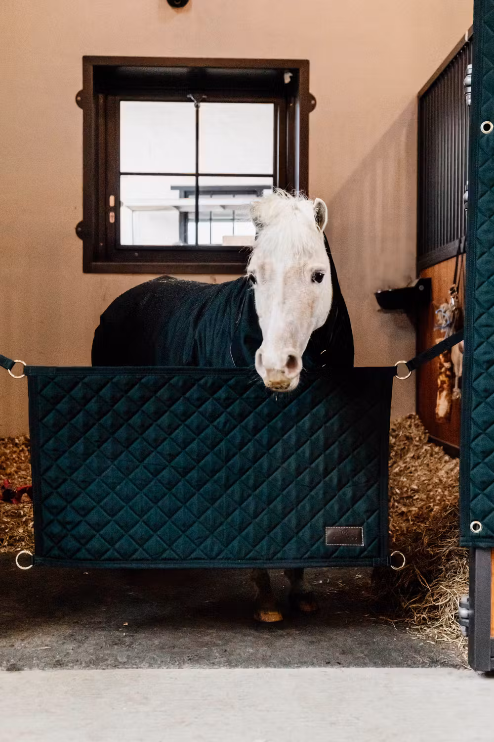 Stable guard dark green
