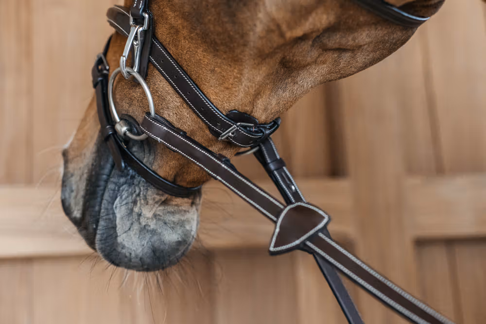 Flash noseband Bridle with snaps Brown Full WBD