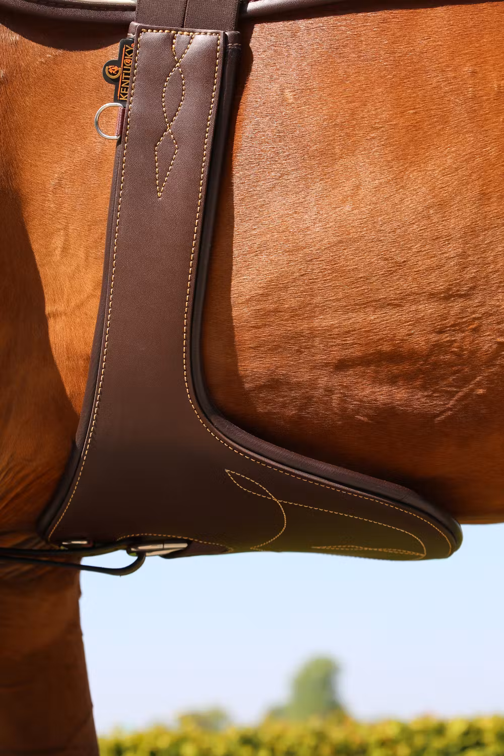 Stud girth brown 130 cm
