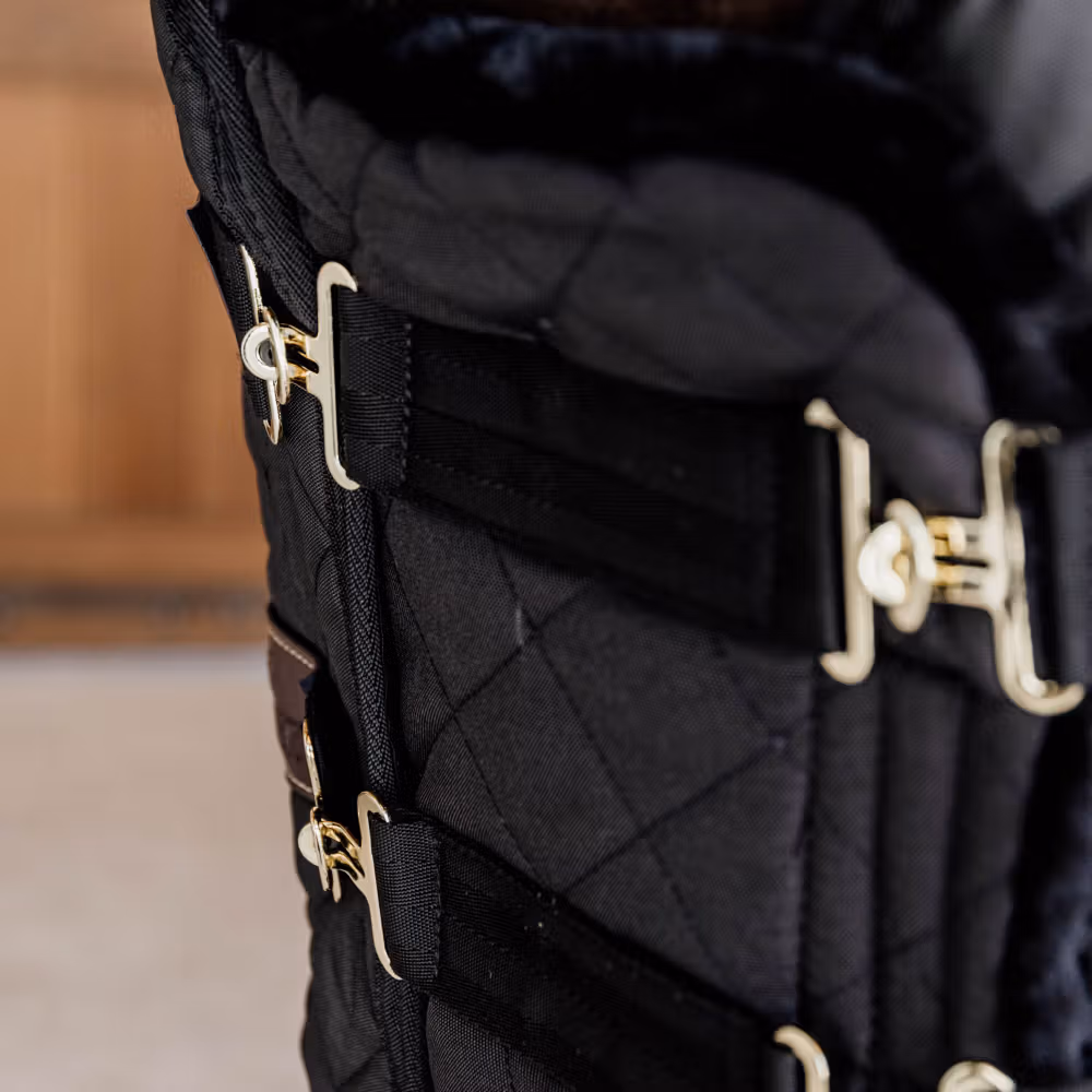 Chest expander quilted with sheepskin 2 buckles black