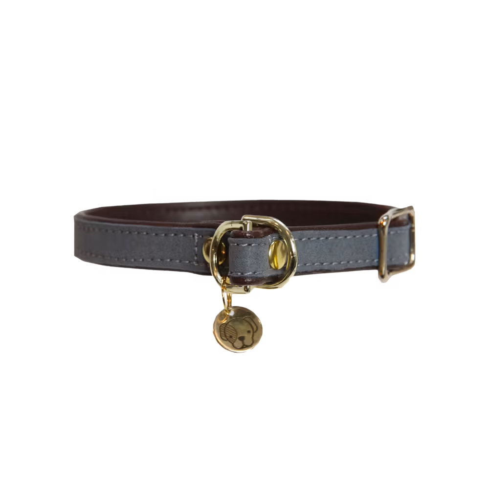 Dog Collar 'Loop' grey, size XS-35 cm