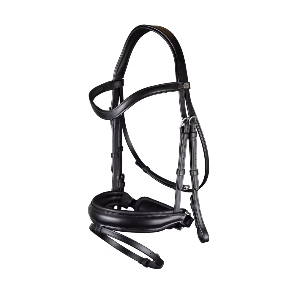 Matte Large Crank Noseband Bridle With Flash
