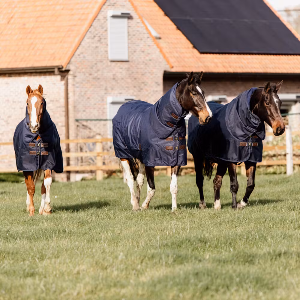 Turnout rug all weather Quick dry Fleece with Neck navy 145-6'6 0gram
