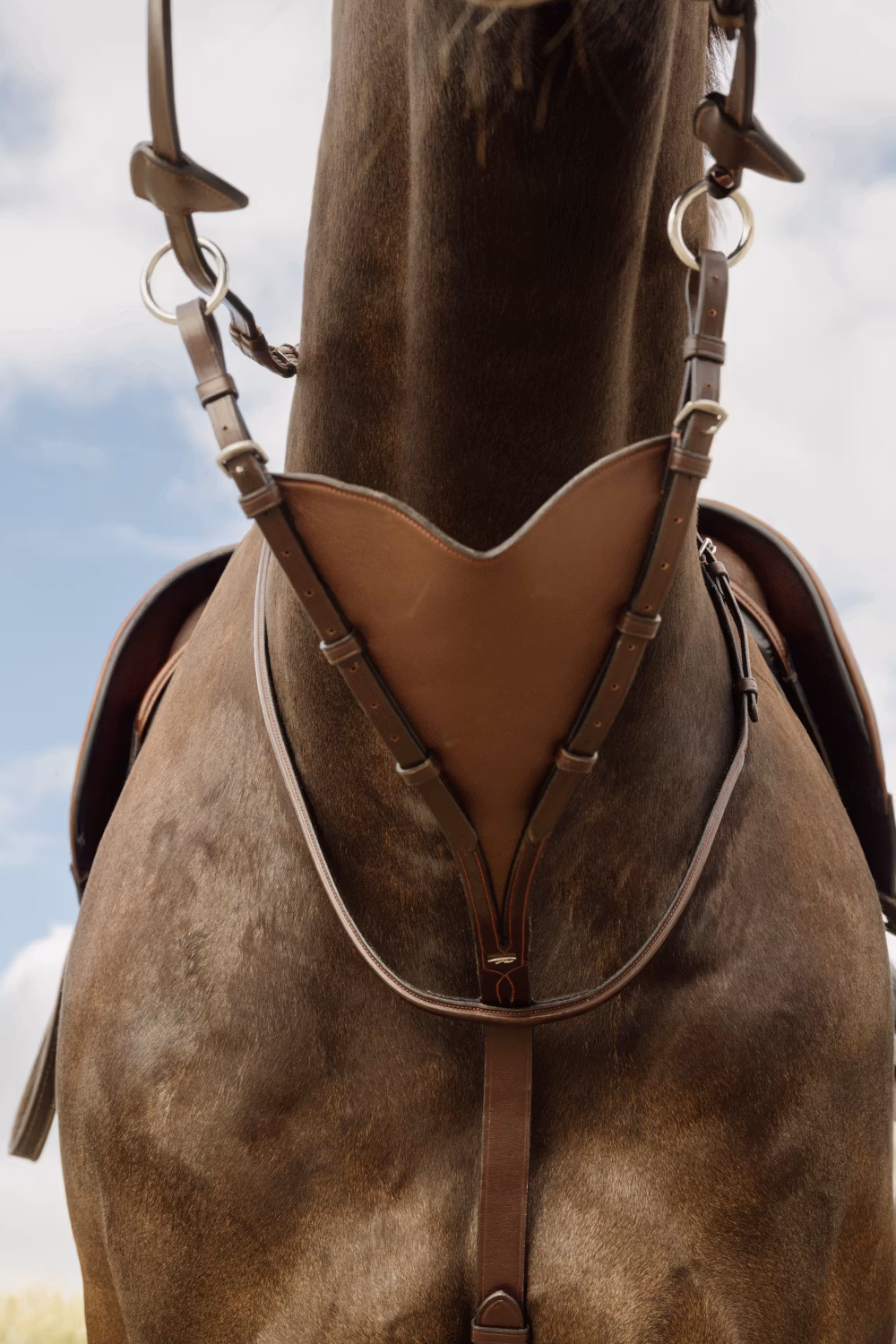 Soft leather BIB Martingale NE coll, Full/brown