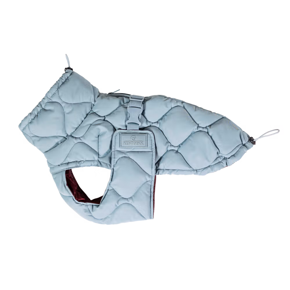 Dog coat winter Pina orange 160g S 32-38cm