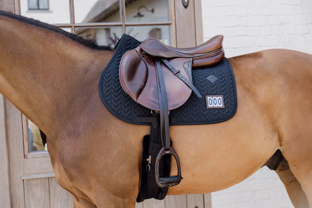 Saddle Pad fishbone competiton with 2 numbers show jumping black