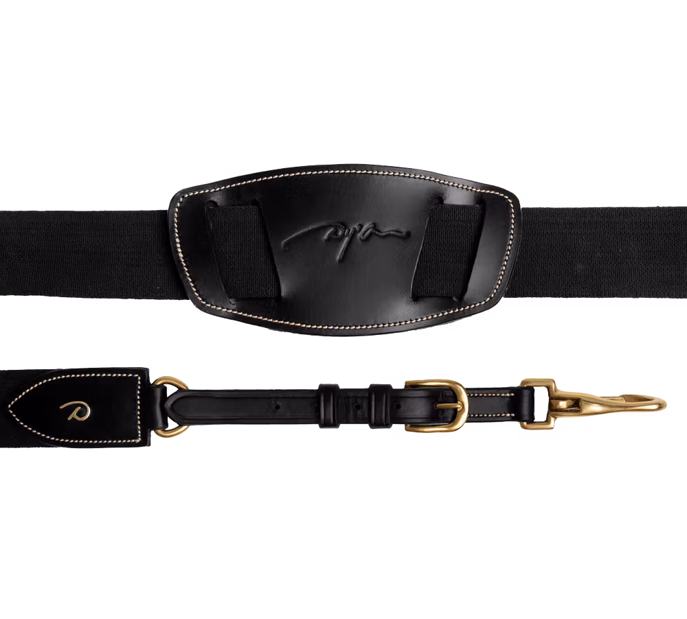 Elastic Breastplate Black Full D
