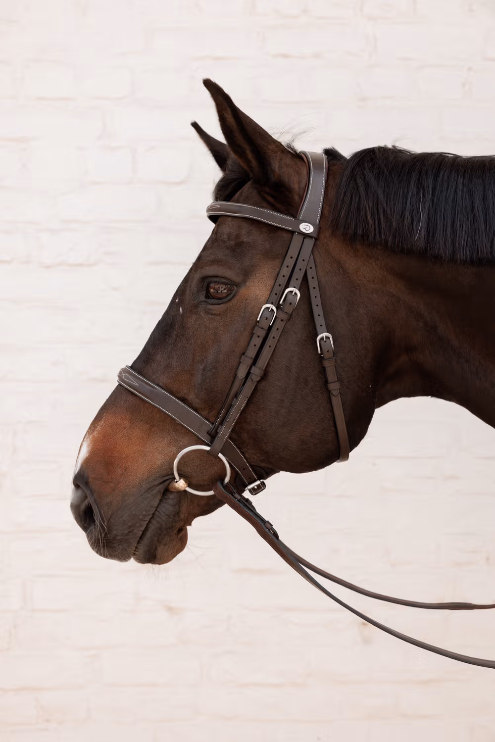 Cavesson Bridler Noseband WBD Full/brown