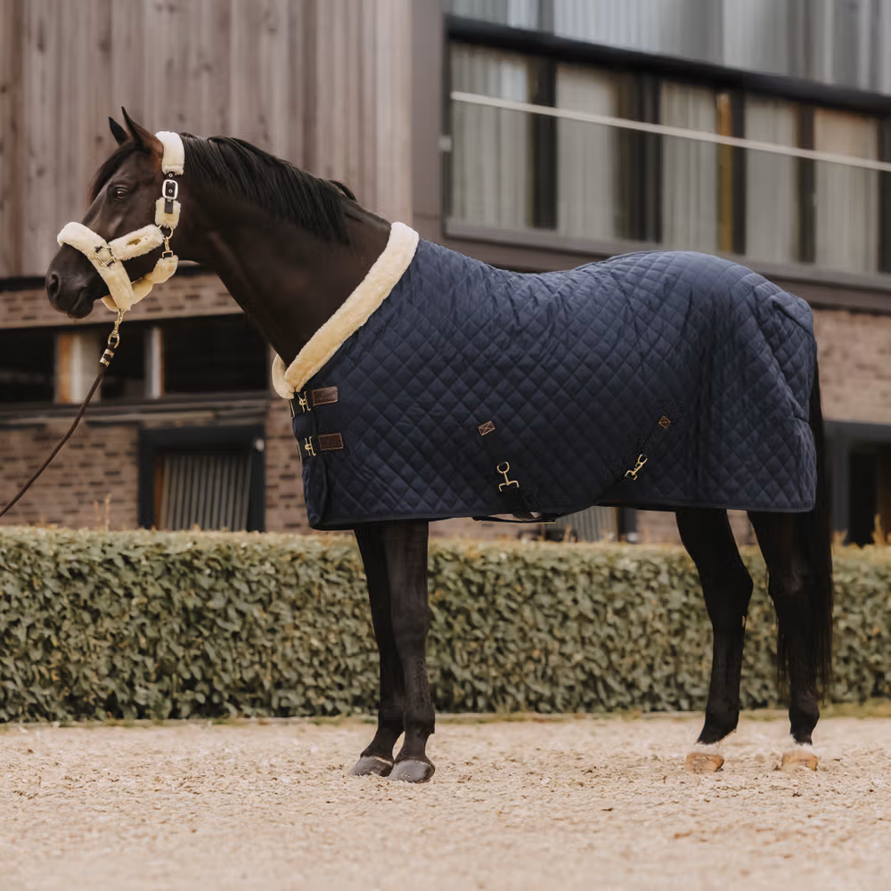 Show rug navy 145-6'6 160 gram
