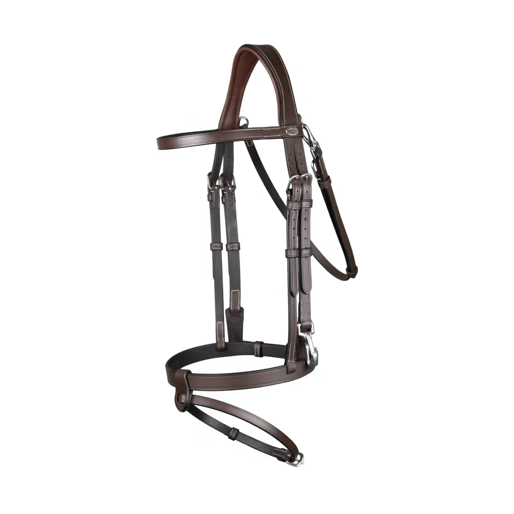 Flat Leather Bridle With Snap Hooks