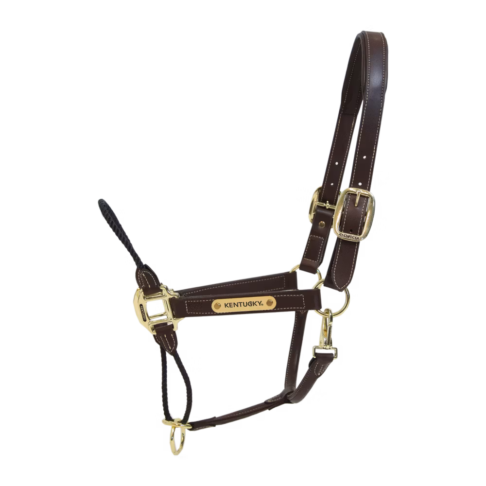 Leather rope halter Full