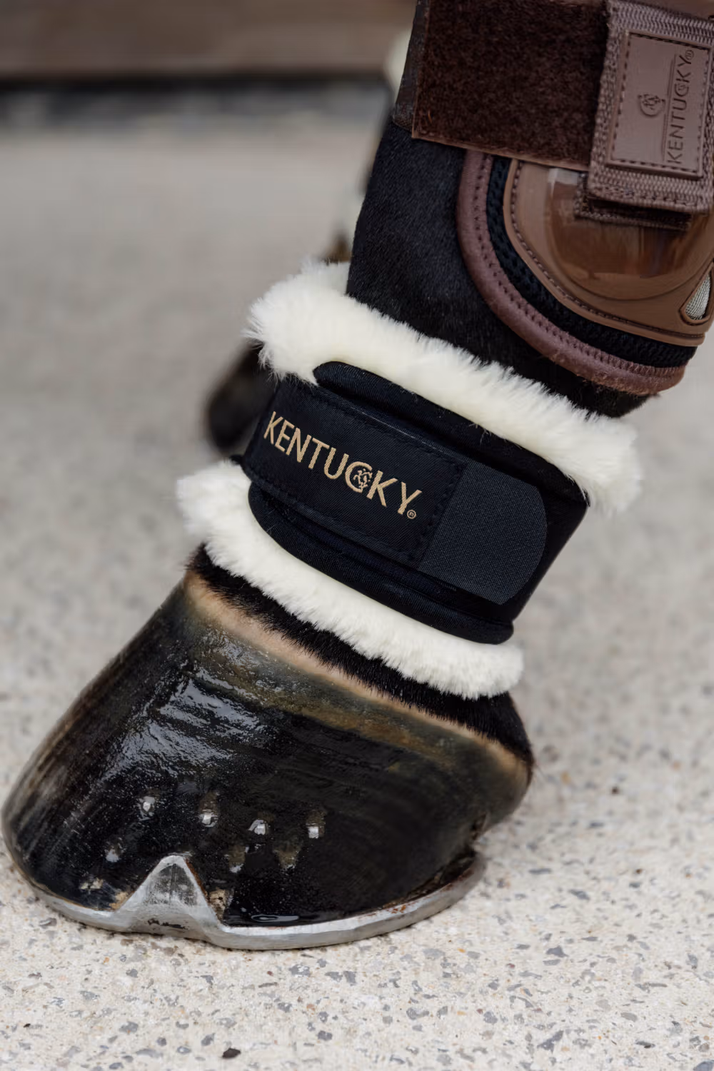 Sheepskin Pastern Wrap