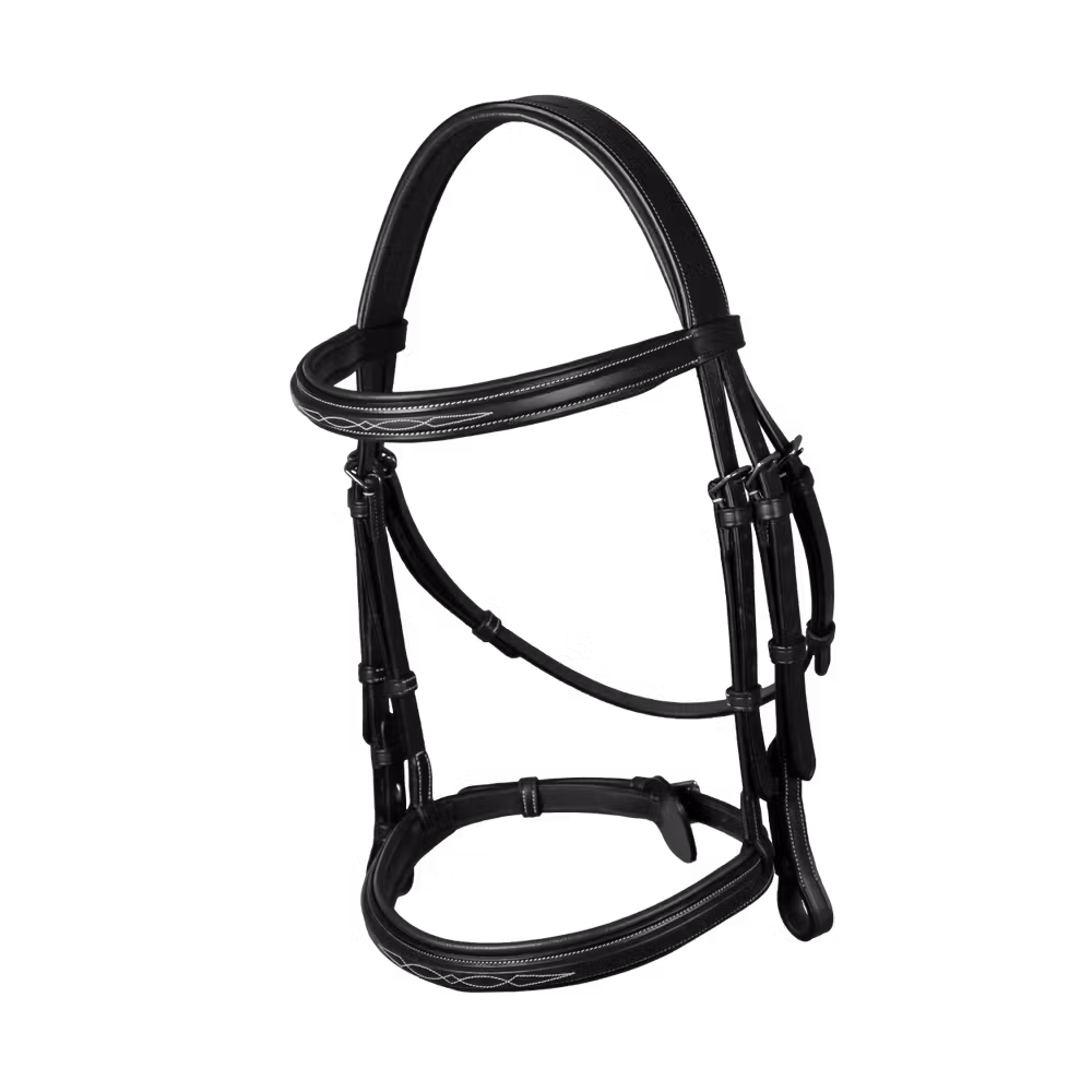 Cavesson Noseband Bridle