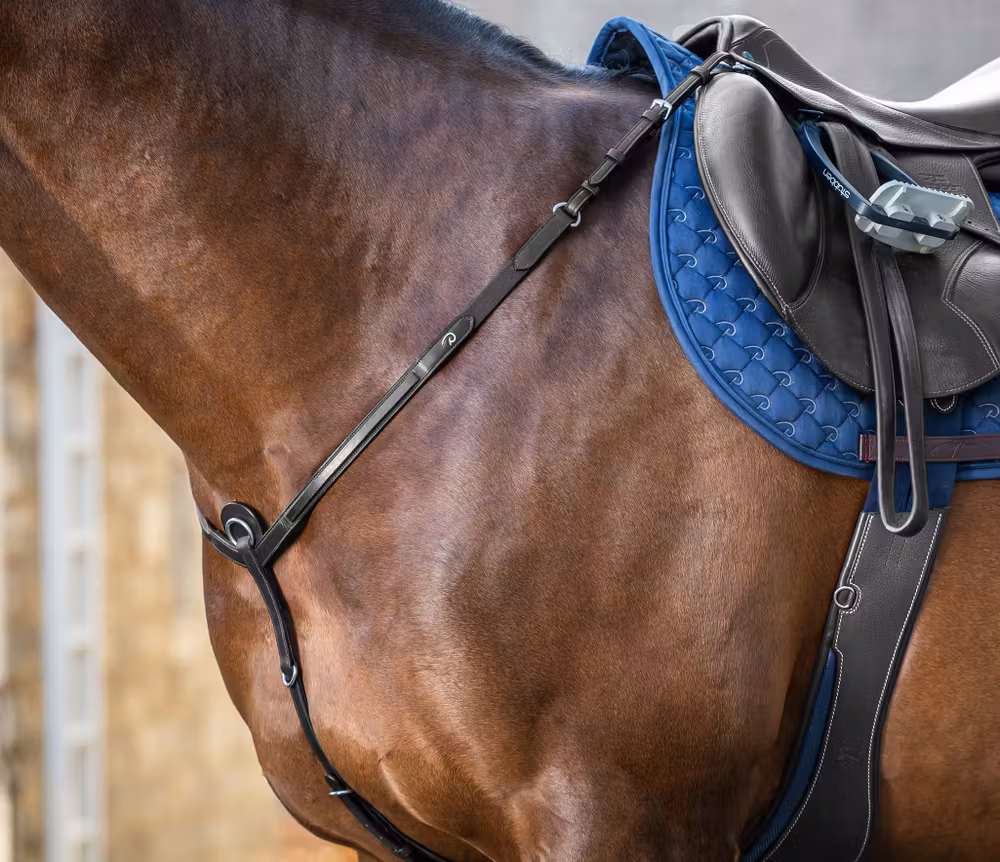 Breastplate