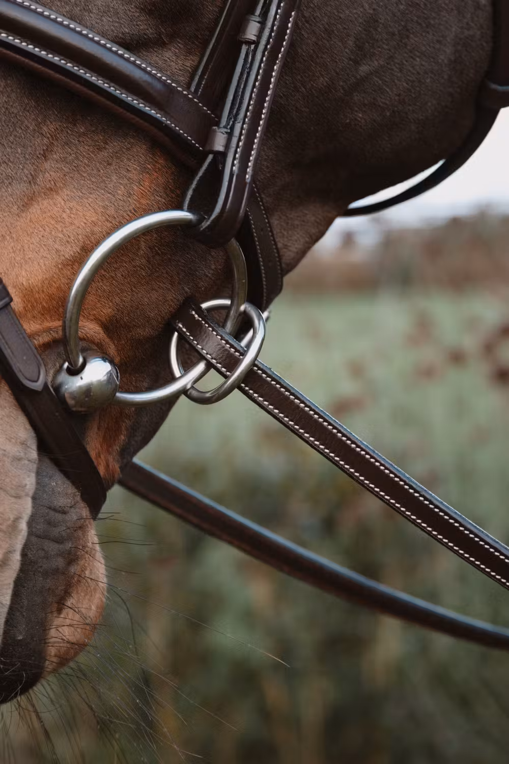 Rubber reins 1/2u2019u2019 with 7 leather stops, ring closur WO coll, Full/brown