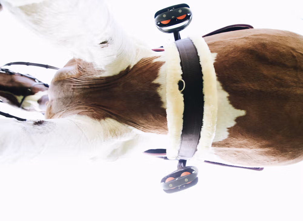 Sheepskin Girth brown 130cm