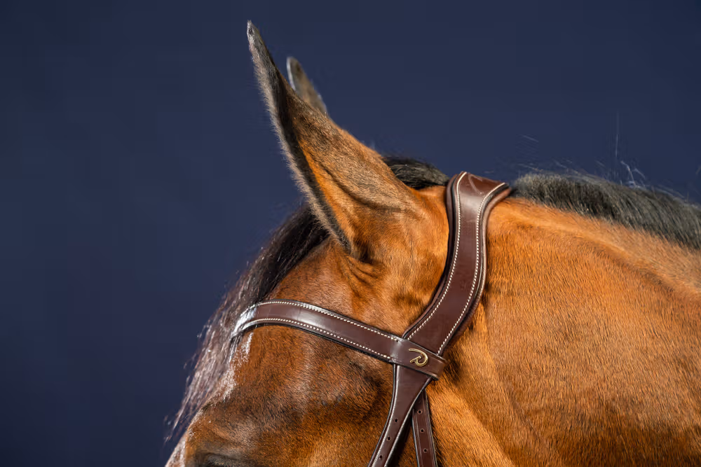 X-Fit Bridle