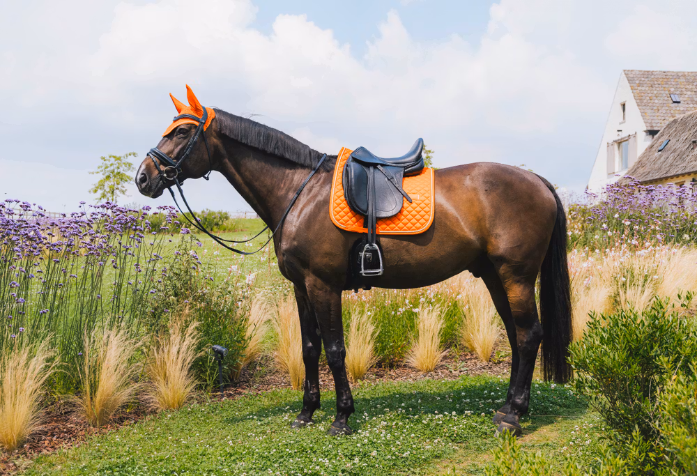 Saddle Pad diamond rope dressage orange