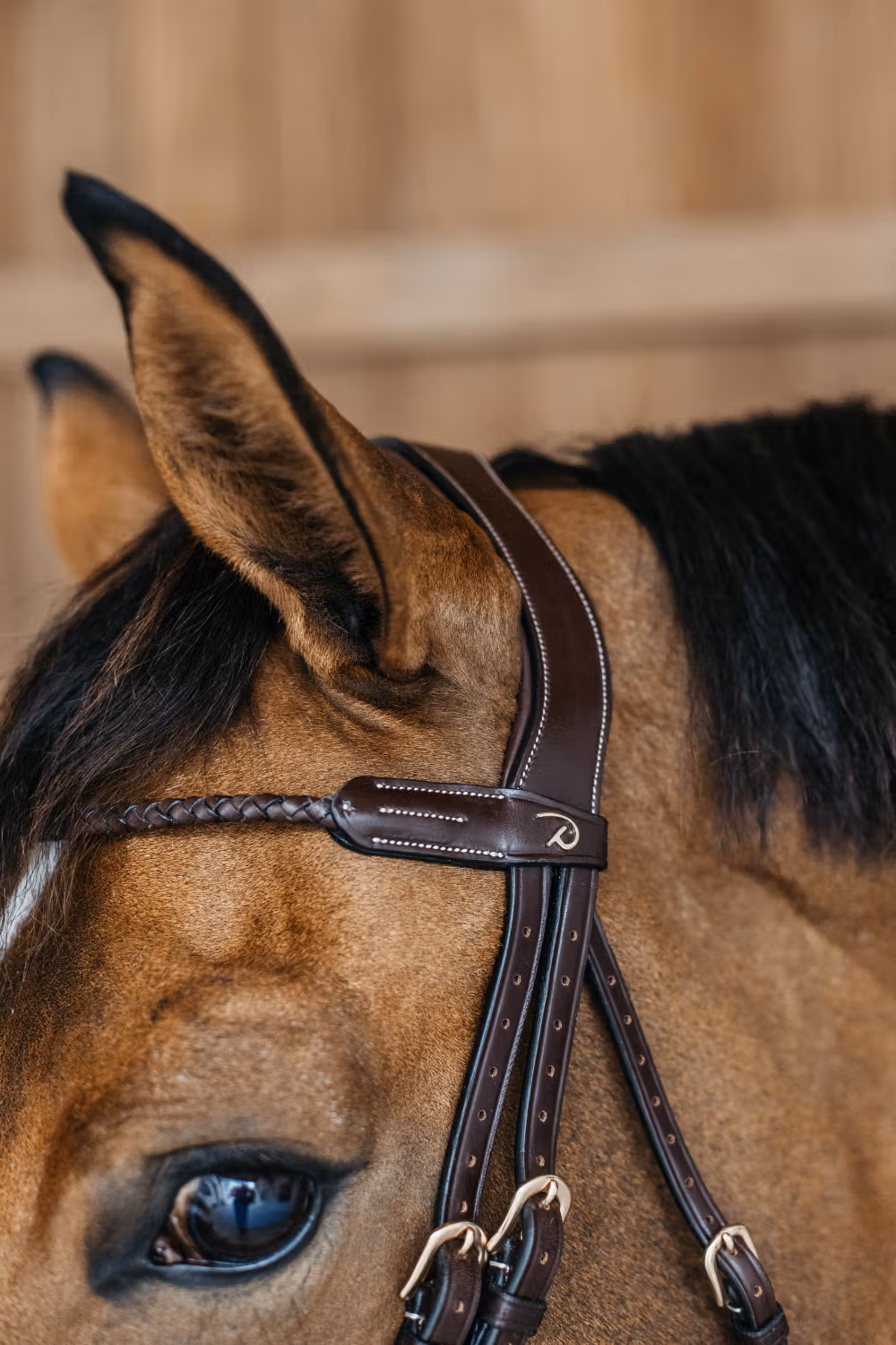 Braided round leather Browband Brown Pony D