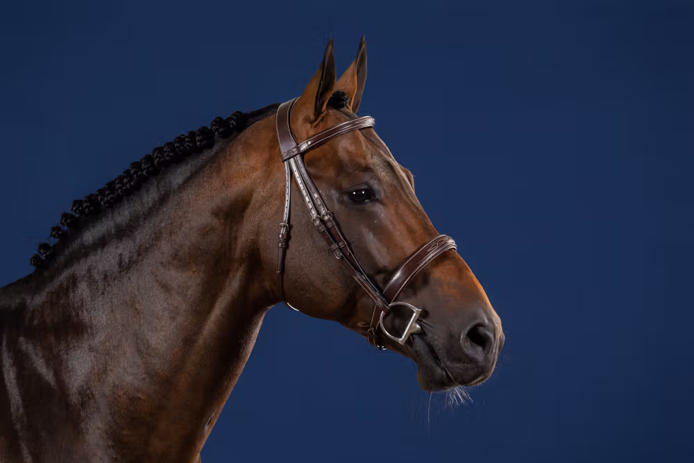 Wide Noseband Hunter Bridle