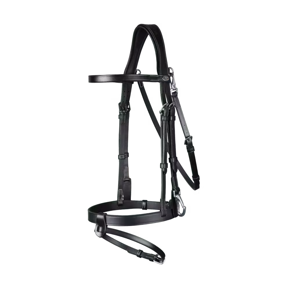 Flat Leather Bridle With Snap Hooks