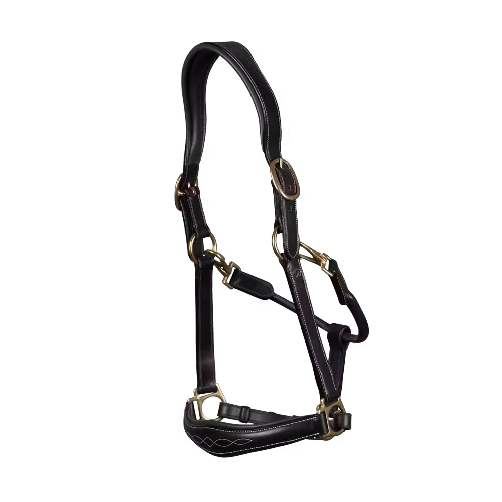 Leather Halter