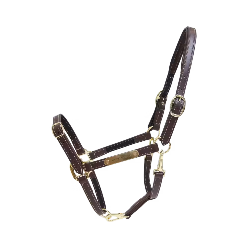Leather Halter flexible brown Full