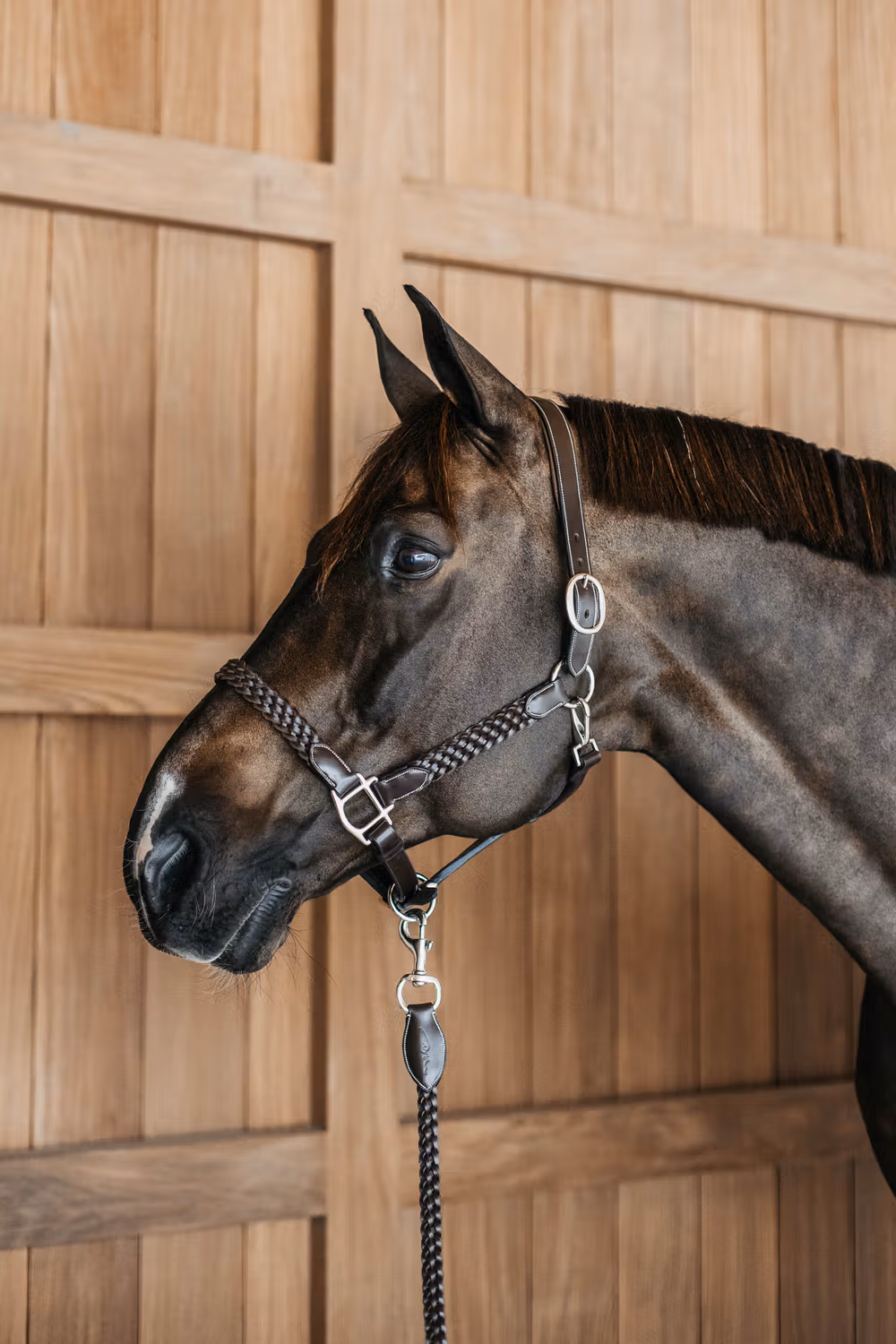 Plaited Halter