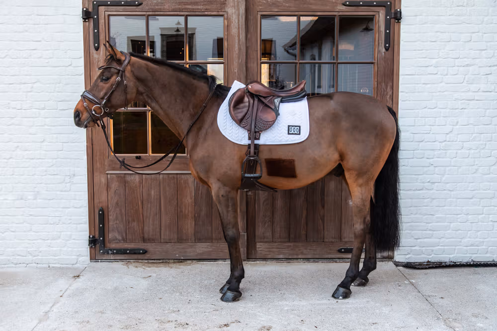 Saddle Pad fishbone competiton show jumping white