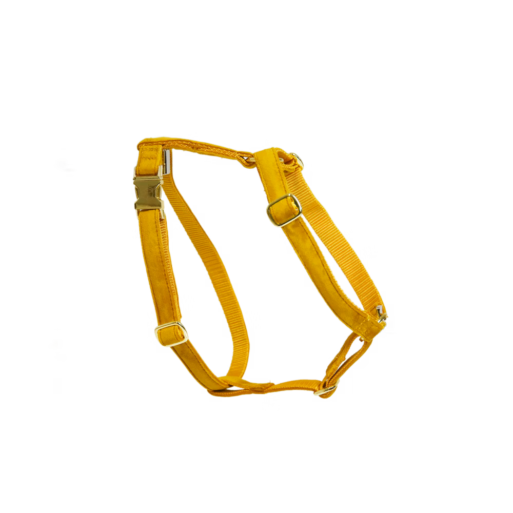Dog Harness loop velvet mustard L'75-100cm