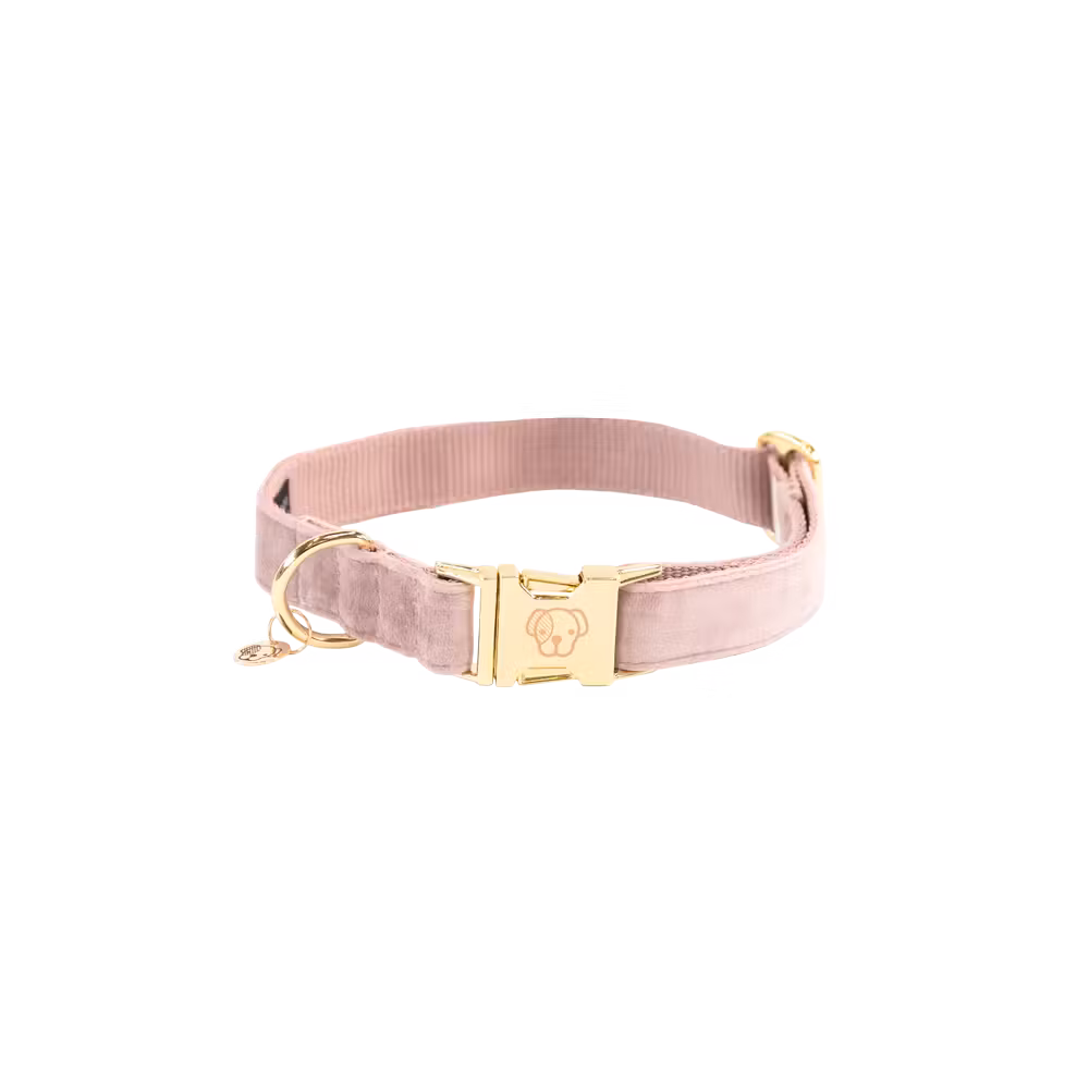 Dog Collar velvet old rose M'36-52cm