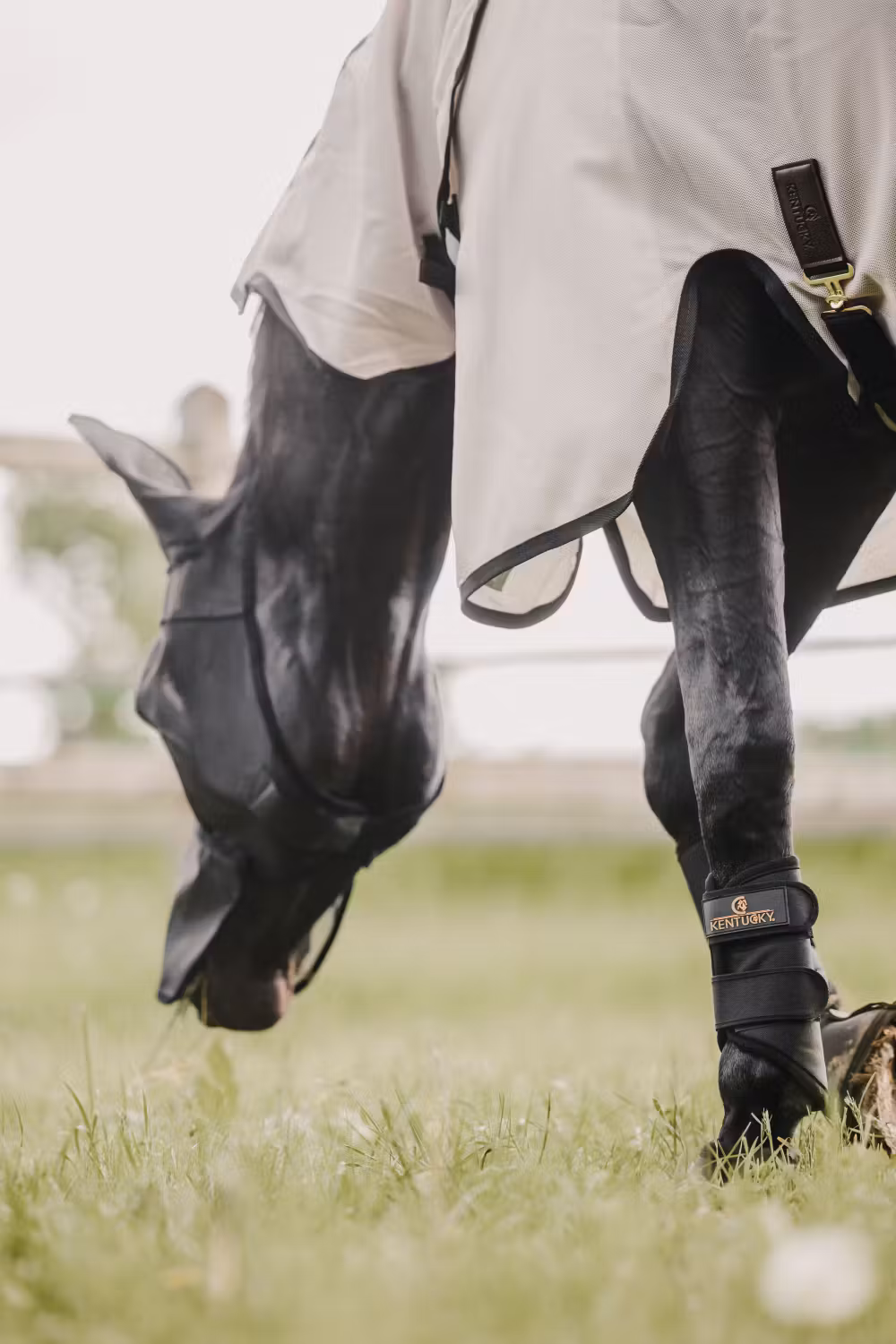 Fly mask classic with ears and nose black Full