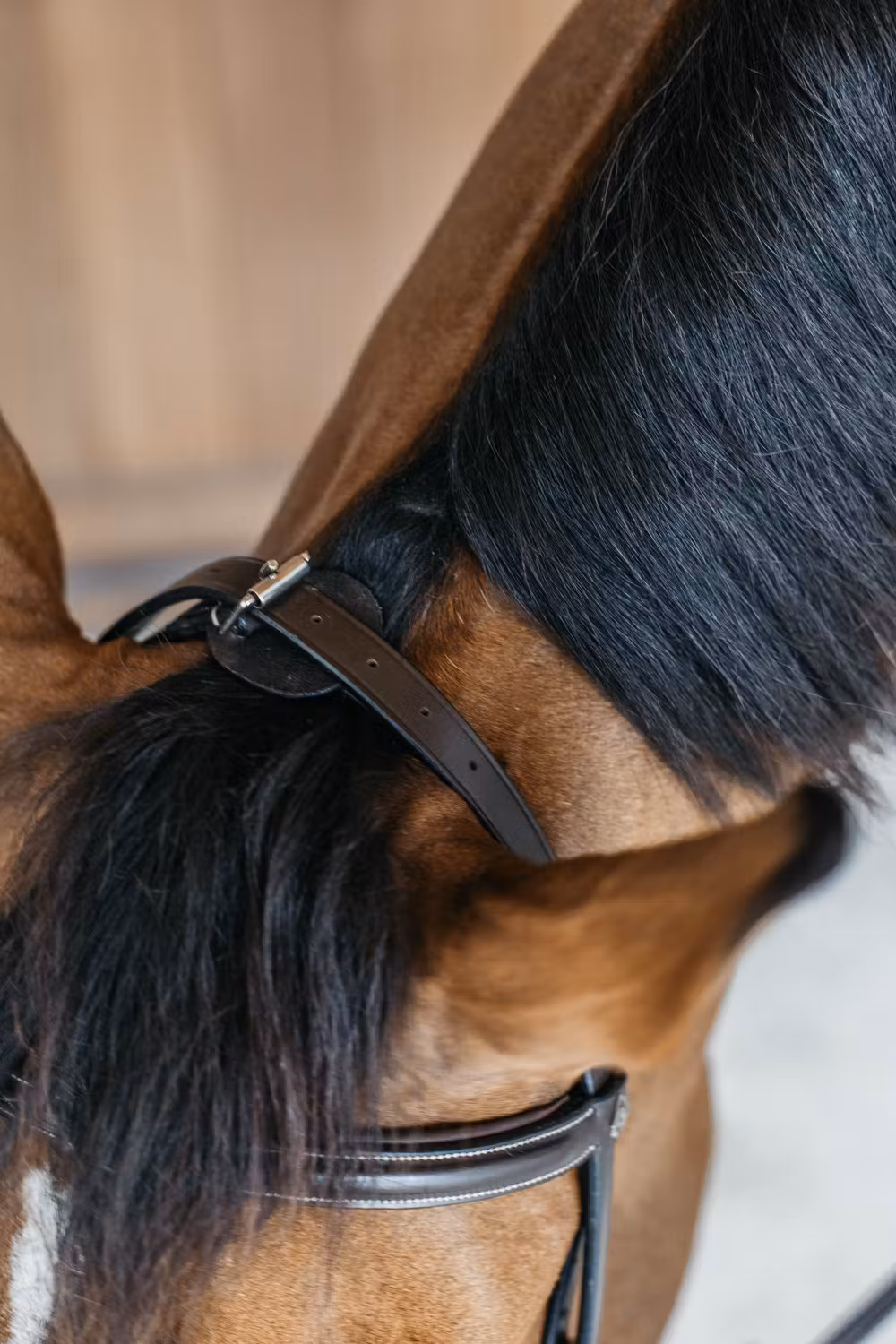 Training Bridle Brown Full WBD