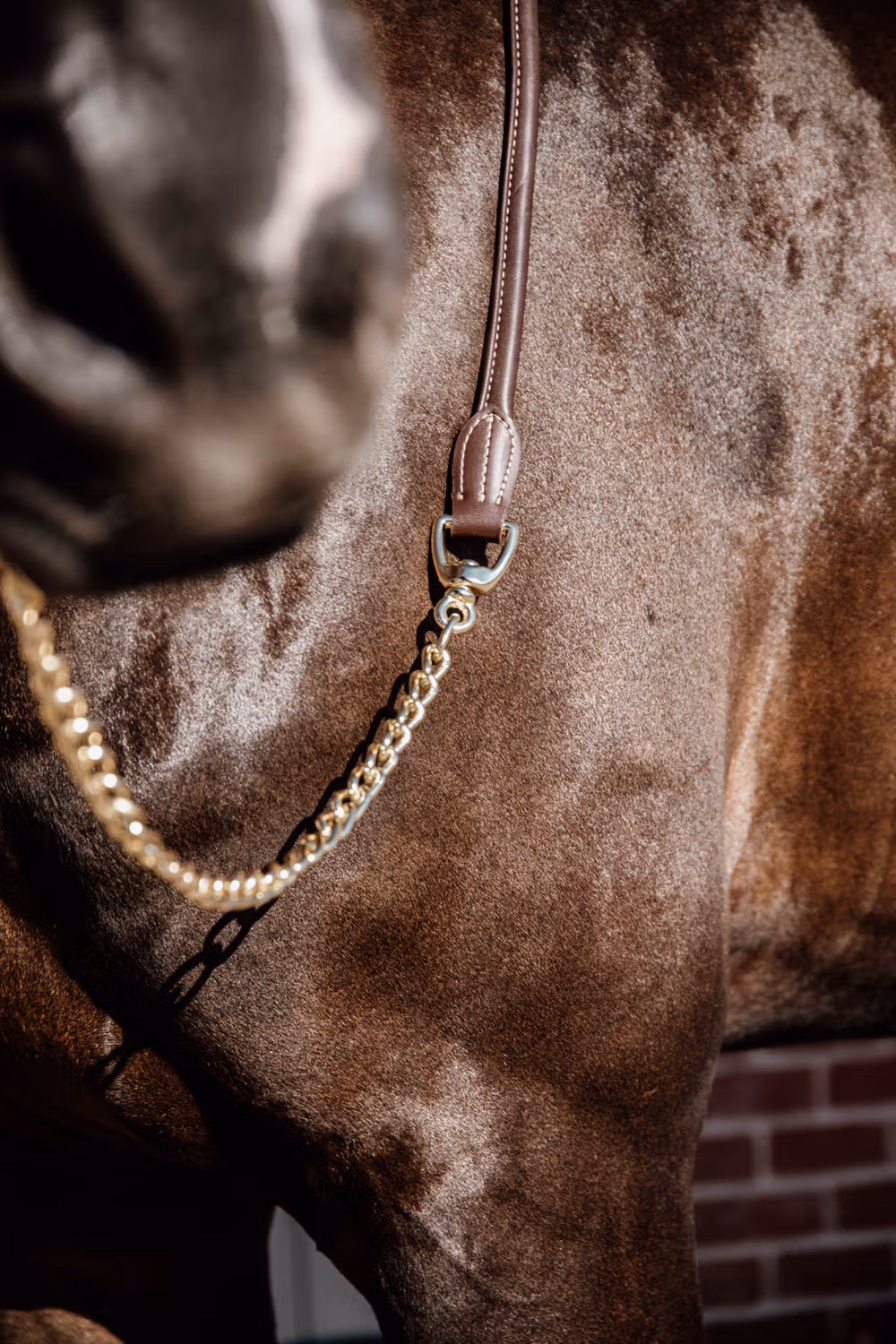 Leather chain lead brown 270 cm
