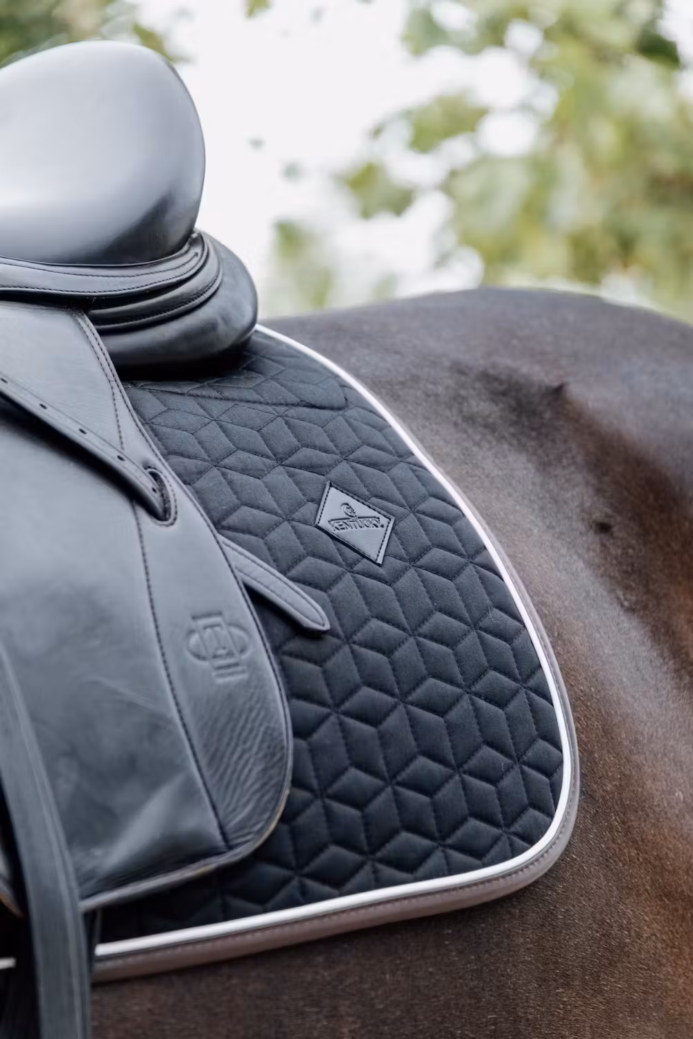 Skin Friendly Saddle Pad dressage black