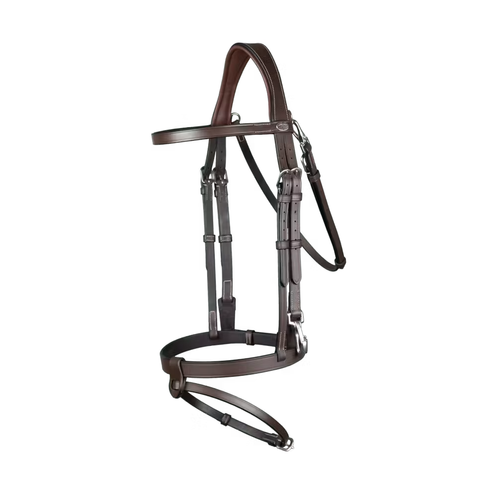 Flat Leather Bridle With Snap Hooks
