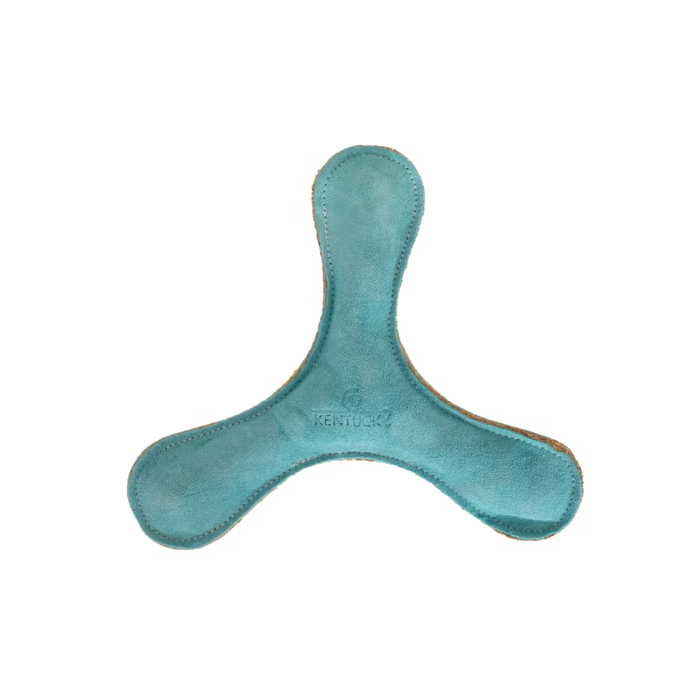 Dog toy pastel boomerang beige