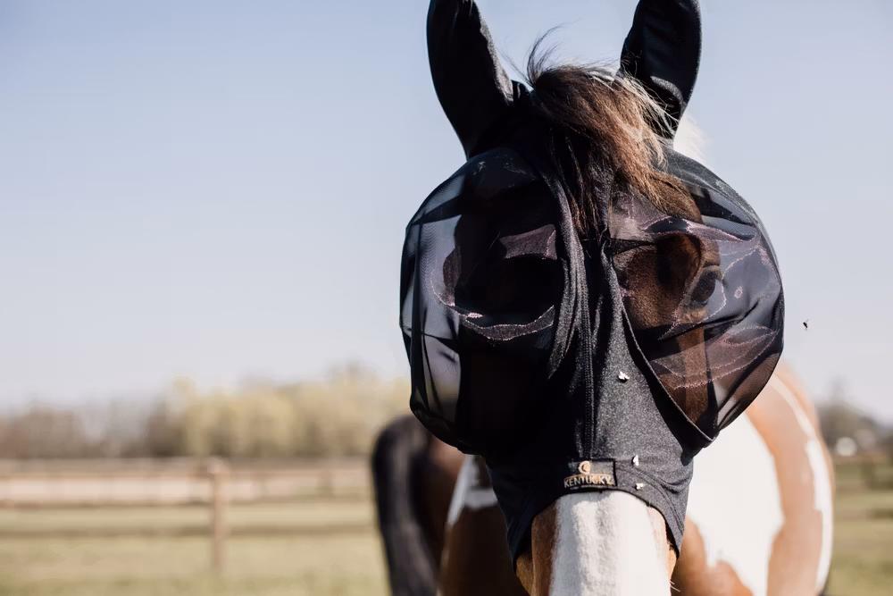 Fly mask slim fit black