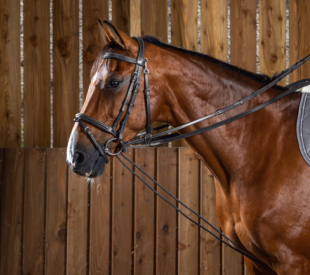 Leather/Nylon Draw Reins 5/8