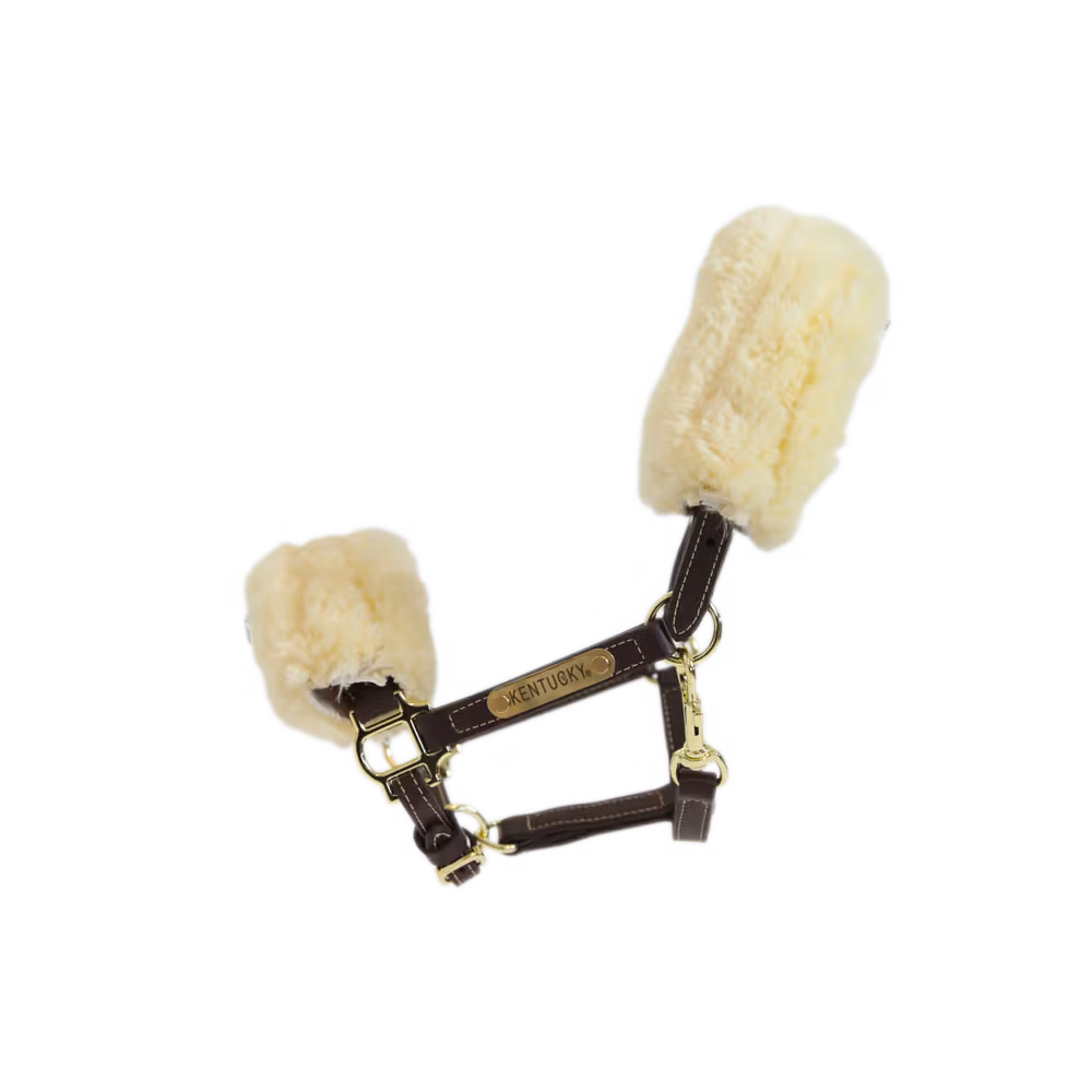 Leather halter sheepskin Pony