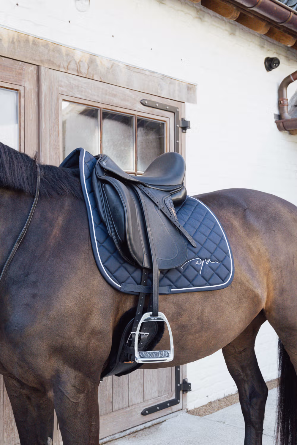 Saddle Pads & more