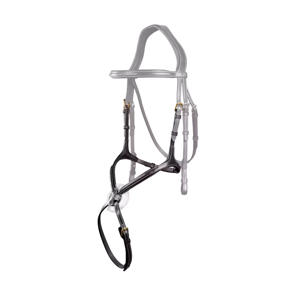 Figure 8 Noseband