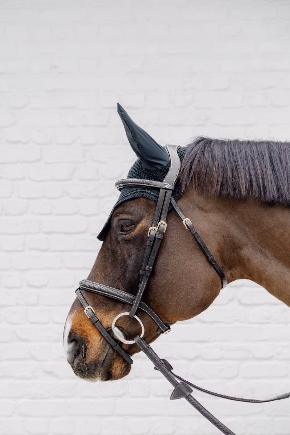Plaited Noseband Black Cob D Collection
