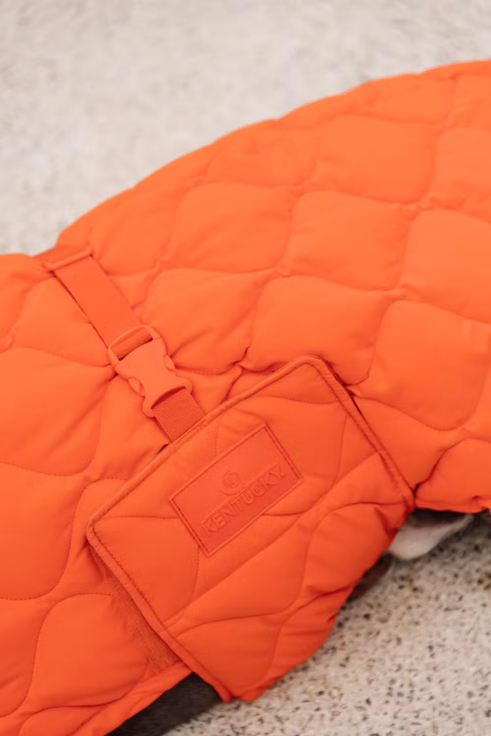 Dog coat winter Pina orange 160g S 32-38cm