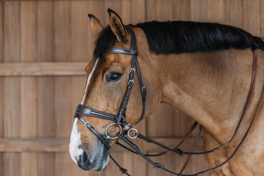 Working Motion Bridle Brown Full WBD