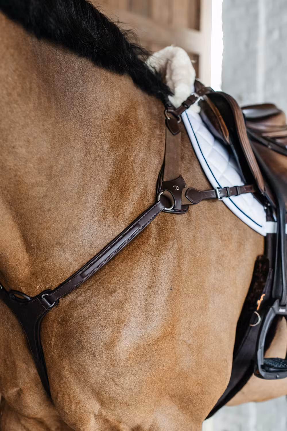 5 points breastplate with elastic Brown Over NE