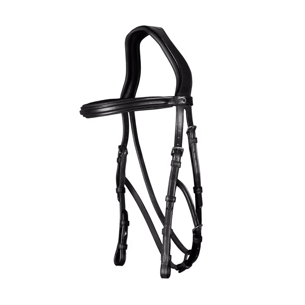 Hackamore Bridle