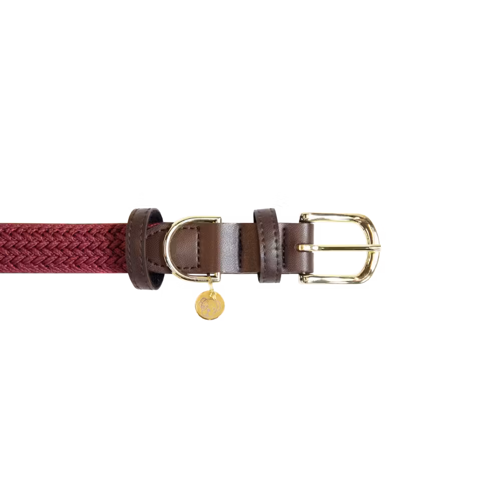 Plaited Nylon Dog collar navy S 42cm