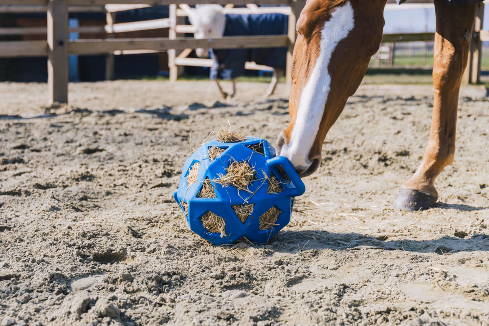 Relax Horse play & hay Ball royal blue size L 40cm