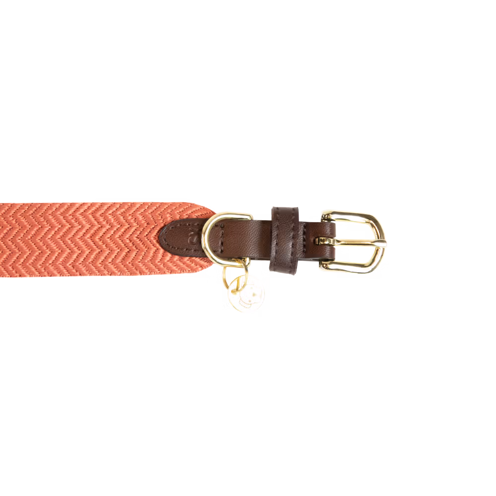 Dog collar Jacquard terracotta XL 71cm